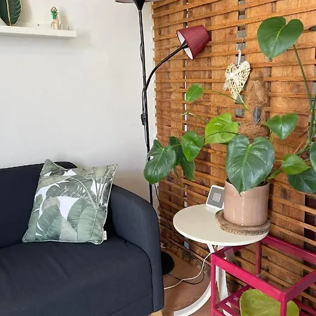 House Bairro Estrela D'ouro Apartment Lissabon
