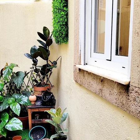 House Bairro Estrela D'ouro *